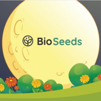 Семена конопли сорта Лунный календарь BioSeeds (Подарок)